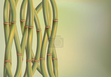 Ilustración de Diseño creativo de fondo de bambú ovalado Fantasy - Imagen libre de derechos