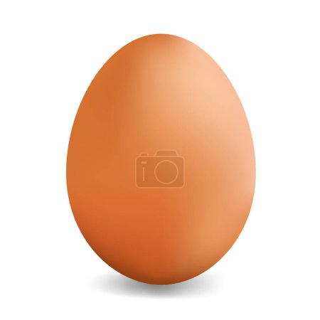 Illustration for Creative design of chicken egg illustration - Royalty Free Image