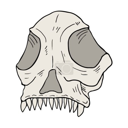 Illustration for Creative design of Skull illustration - Royalty Free Image
