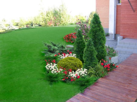Foto de Ejemplo de plantas de decoración y agrupación del patio trasero, 3D Render - Imagen libre de derechos