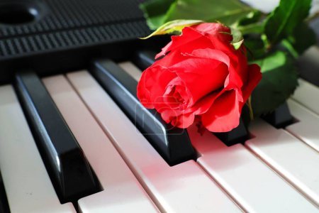 Foto de Red rose on piano keys. Close-up . Concept of love, Valentine's Day, romance... - Imagen libre de derechos