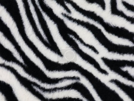 Zebramuster. Schwarz-weißer Hintergrund.