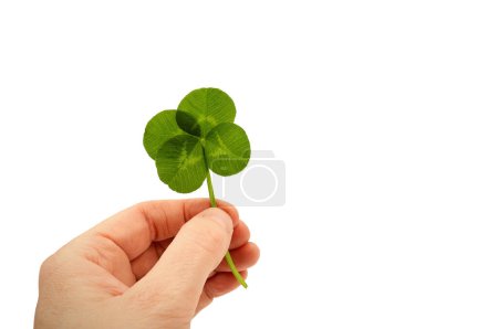 Four-leaf clover in a hand, isolated on white background. Lucky card with copy space.