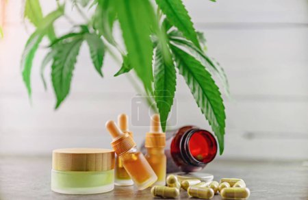 Photo for CBD and HHC oil capsules and balm, Medical marijuana products with Cannabis plant - Royalty Free Image
