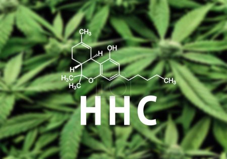 Téléchargez les photos : HHC Hexahydrocannabinol est un cannabinoïde psychoactif à moitié synthétique avec strcucture chimique - en image libre de droit