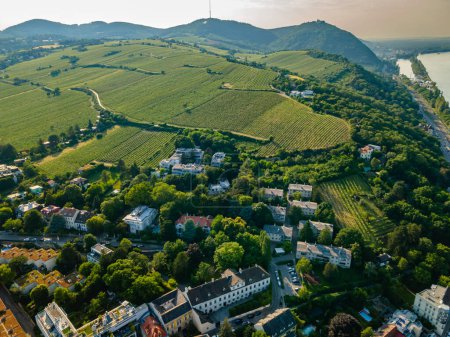 Téléchargez les photos : Un panorama aérien de Vienne Nussdorf avec des rangées de vignobles en été - en image libre de droit