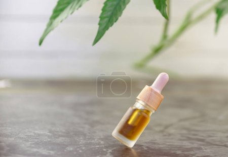 Photo for CBD or HHC oil, Medical marijuana products with Cannabis plant - Royalty Free Image