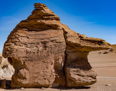 Téléchargez les photos : Formations rocheuses en Bolivie à 16 000 pieds d'altitude, sculptées par un vent constant. - en image libre de droit