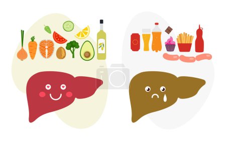 Healthy and diseased liver. Liver Awareness Month. Info-graphic. Vector illustration isolated on white background