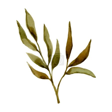 Foto de Ramita acuarela pintada a mano con hojas. Vector botánico aislado sobre fondo blanco para invitación a la boda, guardar la fecha, gracias, o tarjeta de felicitación - Imagen libre de derechos