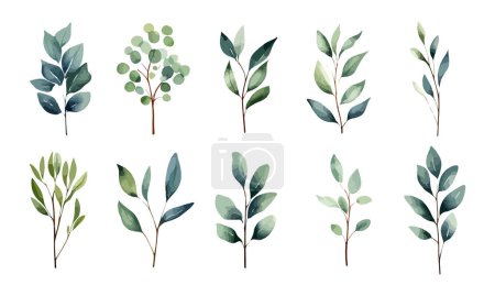 Foto de Acuarela botánica hojas verdes. Ramitas elegantes con follaje para tarjetas de felicitación e invitaciones - Imagen libre de derechos