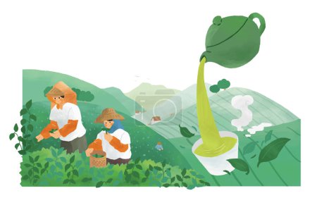Hand drawn style tea farmers collecting tea leaves and green tea pouring out from teapot into teacup in beautiful terraced fields.