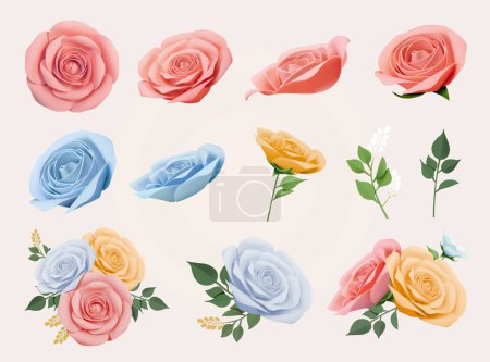 Romantic pastel roses element set isolated on white background.