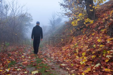 Téléchargez les photos : Brouillard matinal d'automne. Un homme marche le long d'un chemin couvert de feuilles d'automne tombées - en image libre de droit