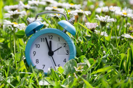 Blue alarm clock in green grass with daisy flowers. Daylight saving time concept, time saving concept