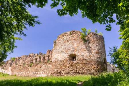 Tower and walls of an ancient castle in a frame of tree branches. Ruins of the castle in Mykulyntsi, Ternopil region, Ukraine