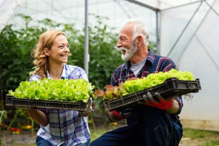 Photo for Happy senior man working together with woman in family greenhouse business. People organic food concept. - Royalty Free Image