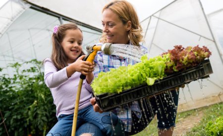 Foto de Los jóvenes y felices trabajadores agrícolas de la familia cosechan e irrigan lechugas y verduras del invernadero. Granjas concepto de estilo de vida - Imagen libre de derechos