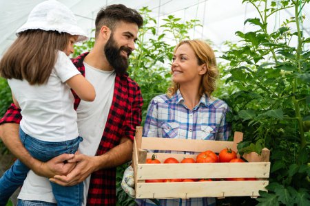 Foto de Familia campesina joven y feliz cosechando tomate y verduras del invernadero. Granjas concepto de estilo de vida - Imagen libre de derechos