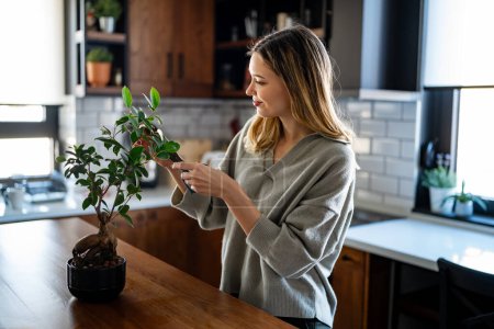 Photo for Smiling young beautiful woman holding can, watering green plants in pot. Happy attractive housewife enjoying taking care of domestic flowers, gardening and housekeeping hobby concept. - Royalty Free Image