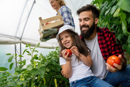 Téléchargez les photos : Famille avec jardin d'enfants heureux à la ferme, cultivant des légumes biologiques. Les gens récoltent des aliments sains concept. - en image libre de droit
