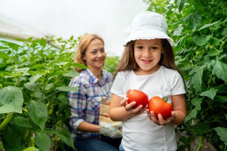 Happy single mother picking fresh vegetables with her daughter. Cheerful young mother smiling while showing her daughter fresh tomato in an organic garden. Self-sufficient family gather fresh produce.