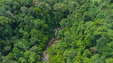 Téléchargez les photos : High angle view of Suhom waterfall - en image libre de droit