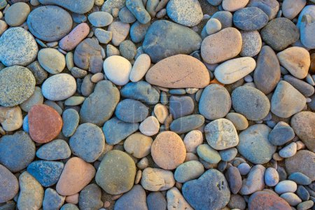 Foto de Primer plano de rocas de playa redondeadas y pulidas. Textura - Imagen libre de derechos