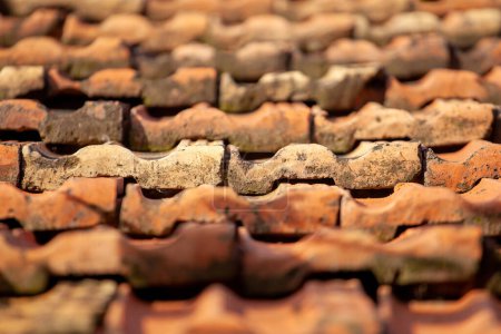 Photo for Detail of an old tiled roof on an old house. Texture - Royalty Free Image