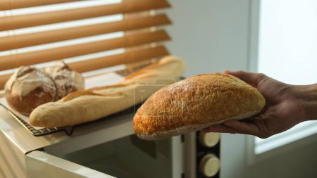 Photo for Closeup view of baker hand holding fresh rustic organic bread from the oven. - Royalty Free Image