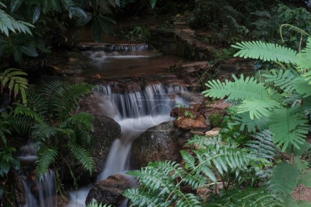 Téléchargez les photos : Ruisseau scénique en cascade au pied de la cascade beauté naturelle. - en image libre de droit
