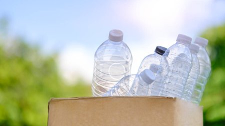 Foto de Botellas de plástico en caja de cartón para reciclaje. Clasificación de residuos, ecología y protección del medio ambiente. - Imagen libre de derechos