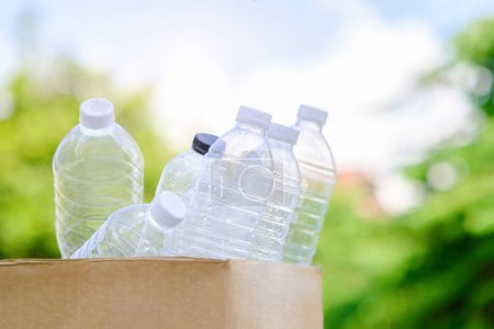 Foto de Botellas de plástico en caja de cartón para reciclaje. Clasificación de residuos, ecología y protección del medio ambiente. - Imagen libre de derechos