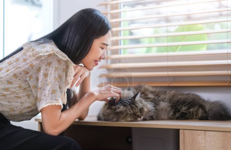 Foto de Joven mujer asiática jugando con su lindo gato. Mascotas, amistad y concepto de vida doméstica. - Imagen libre de derechos