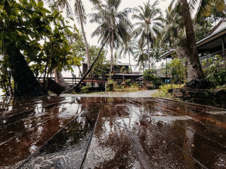 Téléchargez les photos : Surface en bois humide après la pluie. Planchers en bois avec vue sur le logement tropical dans une île. - en image libre de droit
