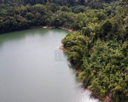 Téléchargez les photos : Lac vert et forêt tropicale arbres tropicaux Kuala Kubu Bharu, Malaisie. - en image libre de droit