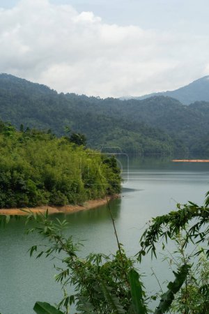 Téléchargez les photos : Arbres tropicaux de forêt tropicale près du lac vert à Kuala Kubu Bharu, Malaisie. - en image libre de droit