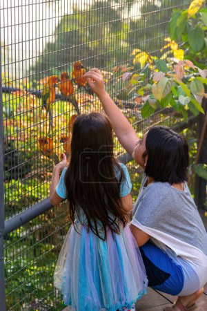 Photo for Children feeding the Sun Conure parrots in the giant metal cage. - Royalty Free Image