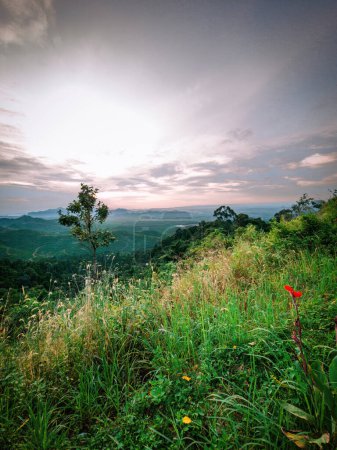 Grüne Pflanzen mit Blick auf die Berge bei Sonnenaufgang in Wang Kelian, Perlis, Malaysia.