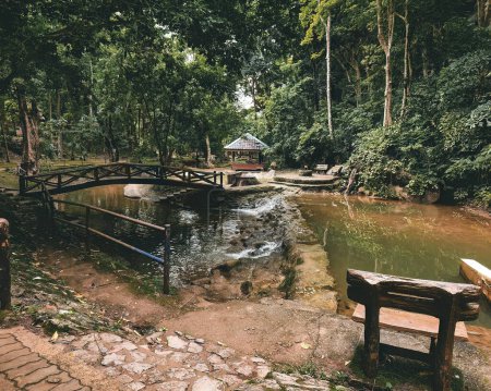 Foto de Pequeño jardín musgoso arroyo cerca de la Cueva Kelam en Perlis, Malasia. - Imagen libre de derechos