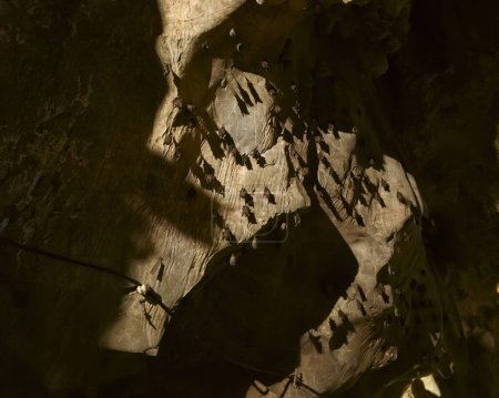 Téléchargez les photos : Incroyable paroi rocheuse avec des chauves-souris endormies à la grotte de Gua Kelam ou Kelam, Perlis, Malaisie. - en image libre de droit