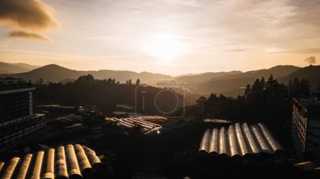 Photo for Golden sunrise aerial view in Cameron Highlands, Malaysia. - Royalty Free Image