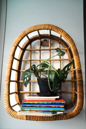 Rattan shelf filled with ornamental plants on the wall. A beautiful shelf that brings nature indoors with warm earthy tones, handmade from rattan