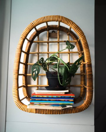 Rattan shelf filled with ornamental plants on the wall. A beautiful shelf that brings nature indoors with warm earthy tones, handmade from rattan