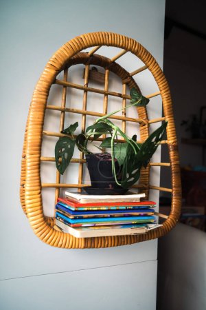 Photo for Rattan shelf filled with ornamental plants on the wall. A beautiful shelf that brings nature indoors with warm earthy tones, handmade from rattan - Royalty Free Image