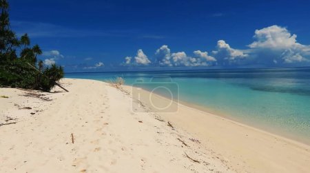 Téléchargez les photos : Plage paradisiaque tropicale avec sable blanc et palmiers tourisme panoramique concept de fond - en image libre de droit