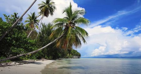Téléchargez les photos : Plage paradisiaque tropicale avec sable blanc et palmiers tourisme panoramique concept de fond - en image libre de droit