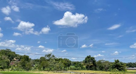 beautiful view of landscape and green view with blue sky and white cloud natural view and green fields