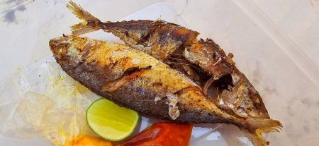 Fried Mackerel served with separate chili sauce and lime, or called Ikan kembung goreng. ikan banyar goreng with rica sambal in Indonesian language, Fried Rastrelliger sp. fish source of protein that is cheap. Perfect for recipe, article, or any cook