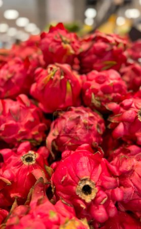 Produits frais de fruits du dragon ou Hylocereus undatus 0r buah naga en indonésien sur le marché local, fruits frais sains pour la salade ou le jus ou toutes les options de cuisson bonnes pour les recettes de cuisine